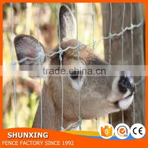 Steel Wire Hot Dipped Galvanizing Type Hinged Joint Cattle Fence thumbnail-3