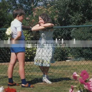 Privacy Fence thumbnail-1