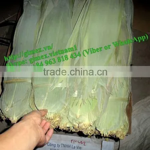 Viet Nam Big Size Bamboo Leaves thumbnail-3