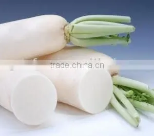 Cut Hair White Radish thumbnail-1