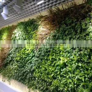 Assorted Tree Plant Seedlings for Vertical Planting Walls and Gardens thumbnail-1