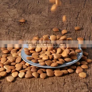 Apricot Kernels thumbnail-2