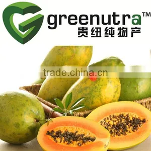 Papain Powder thumbnail-1