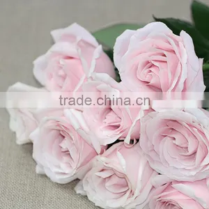 Wholesale Fresh Cut Rose Flowers for Wedding thumbnail-1