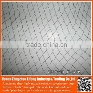 Low Price Green Virgin Invisible Bird Netting , 100% Virgin Hdpe Netting Fabric , Plastic Bird Nets for Catching Birds thumbnail-5