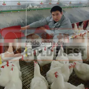 Goldenest Automatic Chicken Nest/automatic Laying Nest/manual Egg Nest thumbnail-4