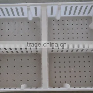 Plastic Turnover Box for Chickens thumbnail-2