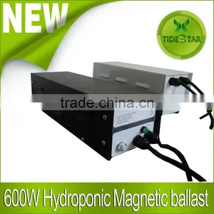 Hydroponic HPS/MH Magnetic 600W Ballast for Grow Light Tent thumbnail-1