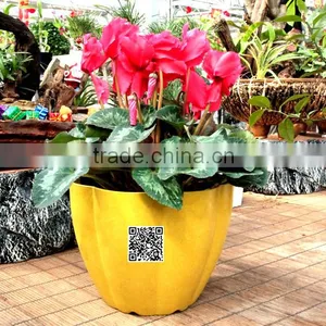 230*180 Biodegradable Colorful Plant Flower Pot Eco Planer thumbnail-2