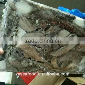 Wholesale Frozen Cheap Giant Squid Tentacles Fish Bait thumbnail-3
