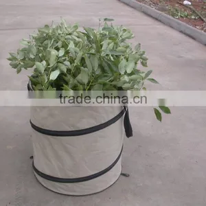 Pop up Leaf Bag thumbnail-1