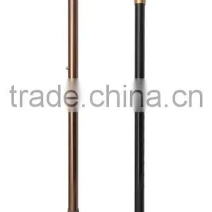 Walking Stick thumbnail-1