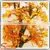 2015 Wholesale 8.5ft Artificial Silk Japanese Maple Tree Outdoor Artificial Tree for Wedding Decoration thumbnail-6