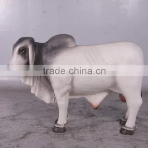 Definitive Brahman Looking Left thumbnail-1