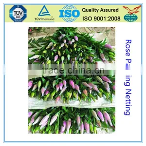 Food Grade PE Rose Bud Net thumbnail-1