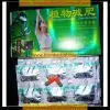 Meizitang Orange and Grey With High Quality and Low Price Weight Loss thumbnail-1