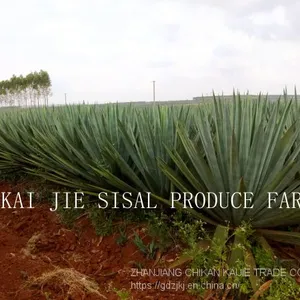 Sisal Products - Best Quality From Original Direct Manufacturer thumbnail-3