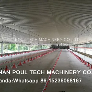 Sudan Poultry Farm for 10,000 Broilers & Chicken Plastic Saltted Floor System & Broiler Floor System With Nipple Drinker System & Feeding Pan System thumbnail-1