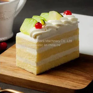 Automatic Ultrasonic Slicing Machine Ultrasonic Frozen Ice Cream Cutting Machine thumbnail-5