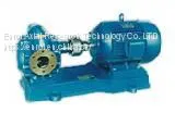 Series Stainless Steel Gear Oil Pump thumbnail-1