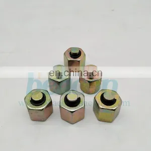 Fuel Rail Plug Common Rail Plug for Rail Pipe Diesel Pump Test Bench Spare Parts Accessories thumbnail-2