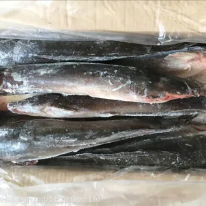 Frozen Catfish thumbnail-1