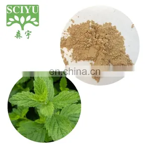 Lemon Balm Leaf Extract Melissa Officinalis Extract thumbnail-2