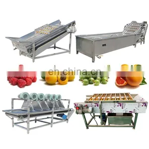Date Washing Line Saudi Arabia Dates Cleaning Equipment Jujube Processing Sorting Machine thumbnail-4