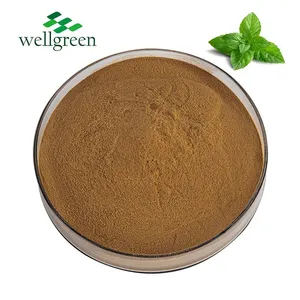 Mint Extract Natural Peppermint Extract Powder Menthol 99% Peppermint Extract thumbnail-1