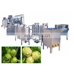 Industrial Fresh Noni Juice Making Machine thumbnail-1