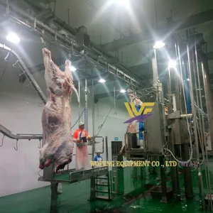 WFA Cattle Slaughtering Equipment Slaughterhouse Device Cow Slaughter Production Line thumbnail-3
