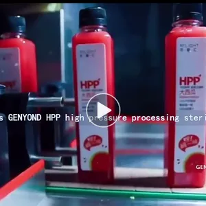 Automatic 57L --200-300KGS/H Hpp Carrot Juice Production Line Carrot Juice Hpp Juice Processing Equipments thumbnail-5