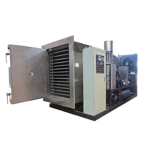 Freeze Dry Machine/flower Lyophilizer China/vacuum Freeze Drying Equipment thumbnail-1