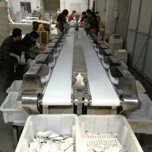 Professional Seafood Weight Sorting Machine Fish,shrimp,Oysters,Prawns,Scallops,Squid Weight Selecting Machine thumbnail-4