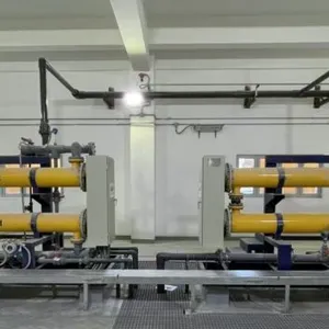 PLC Automatic and Skid Mounted Design Seawater Electrolysis Chlorination System With Low Power Consumption thumbnail-1