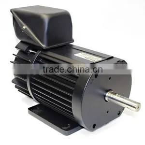 AC Motor Bicycle Motor Motor DC Motor Y Series 6-10KV Squirrel Cage High Voltage Three Phase Asynchronous Motor (710-1000)mm) thumbnail-5