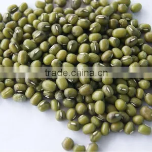 Green Mung Beans thumbnail-1