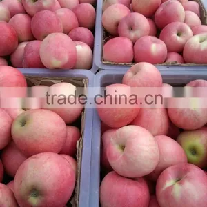 2015 NEW HARVEST Chinese Fresh Qinguan Apple thumbnail-1
