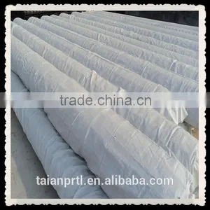 Steel Plastic Geogrid(TGSG4040-120120) thumbnail-6