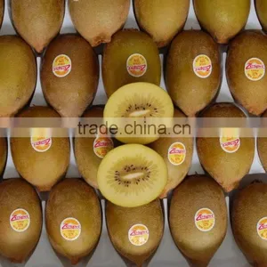 2012 Fresh Kiwi Fruit thumbnail-1
