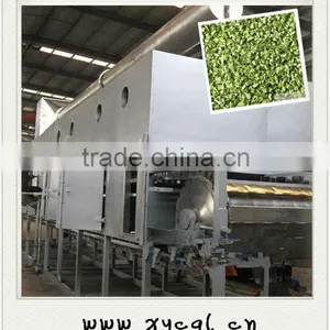 Chive Mesh-Belt Drying Machinery thumbnail-1