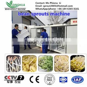 Soya Bean Sprout/automatic Sprout Machine/yellow Bean thumbnail-1