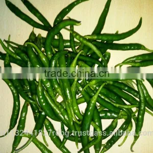 Indian Fresh Long,dark Green and Spicy Green Chilli Exporter thumbnail-4