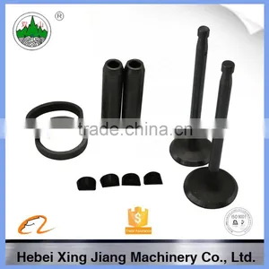 Changchai Single Cylinder Diesel Engine Valve Set for Sale thumbnail-2