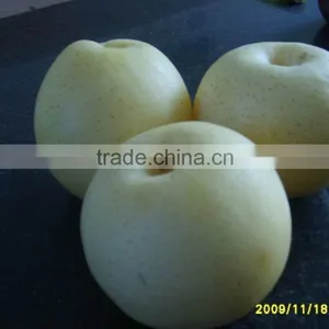 Fresh Pears thumbnail-1
