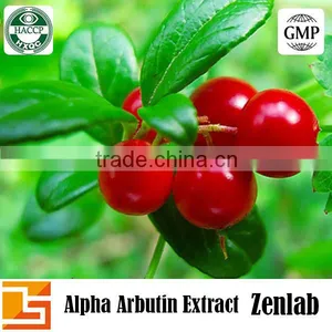 Skin Care White Needle Crystal Beta Arbutin Cosmetic Suppliers From Bearyberry Leaf Powder thumbnail-6