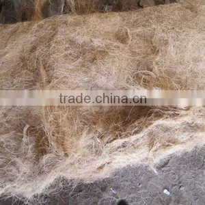 Coconut Fiber High Quality ( QQ: 2598494113) thumbnail-6