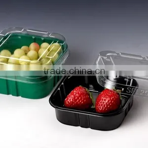Fruit Tray Thermoforming Machine thumbnail-4