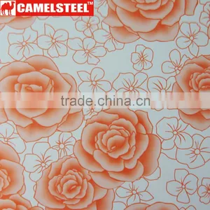 Customized Design Camelsteel Decorative Steel Coil thumbnail-1