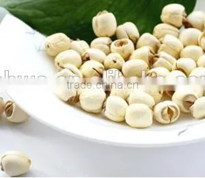 Lotus Seed Powder thumbnail-2